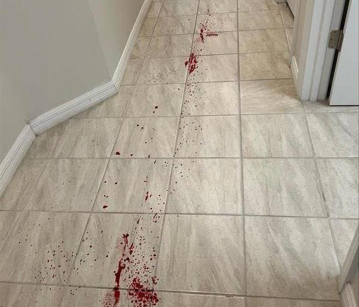 Blood on Floor after someone was hurt