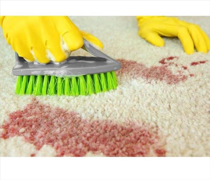 Hand with glove on using a brush to clean blood from carpet