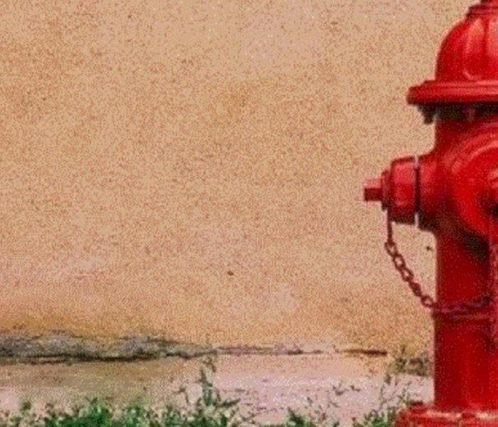 Red Fire Hydrant in grass and by a wall